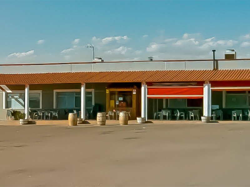 nuevos-viñedos-foto-1