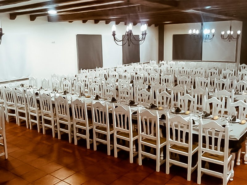 nuevos-viñedos-foto-3