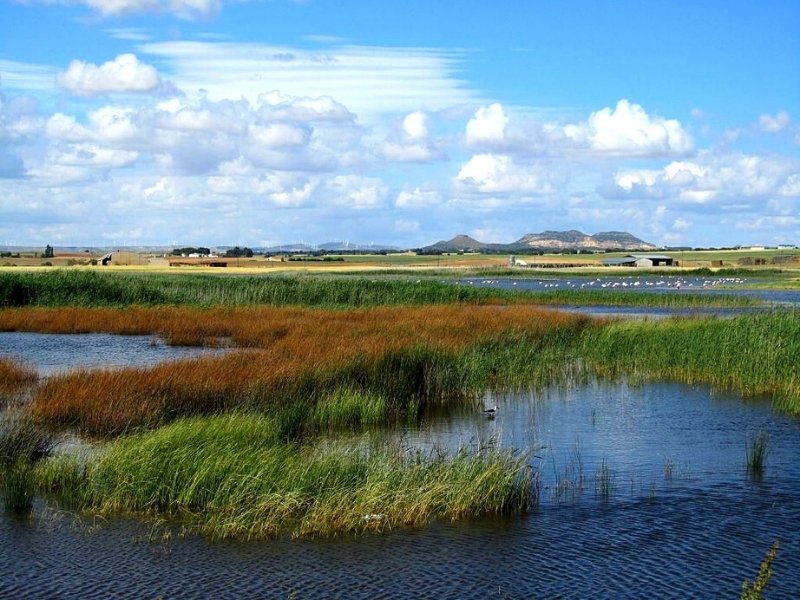 reserva-natural-de-las-lagunas-de-petrola-2
