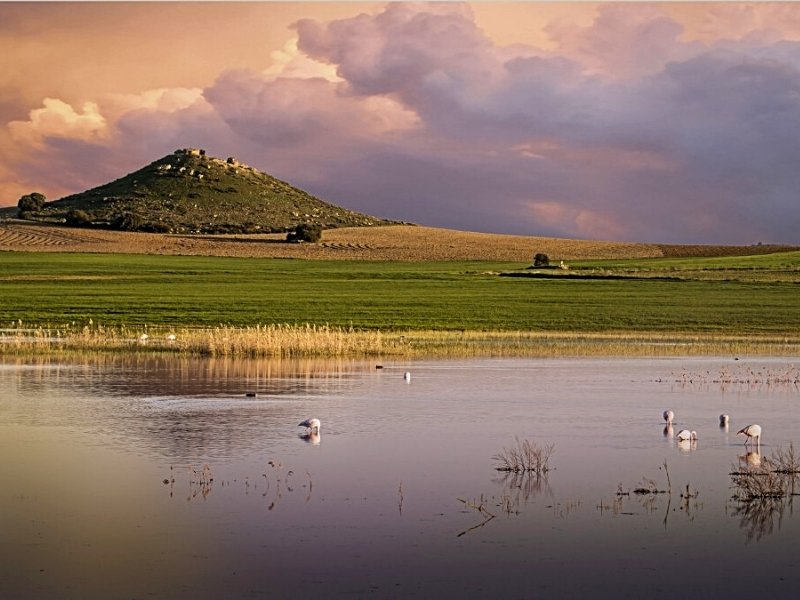 reserva-natural-de-las-lagunas-de-petrola-5